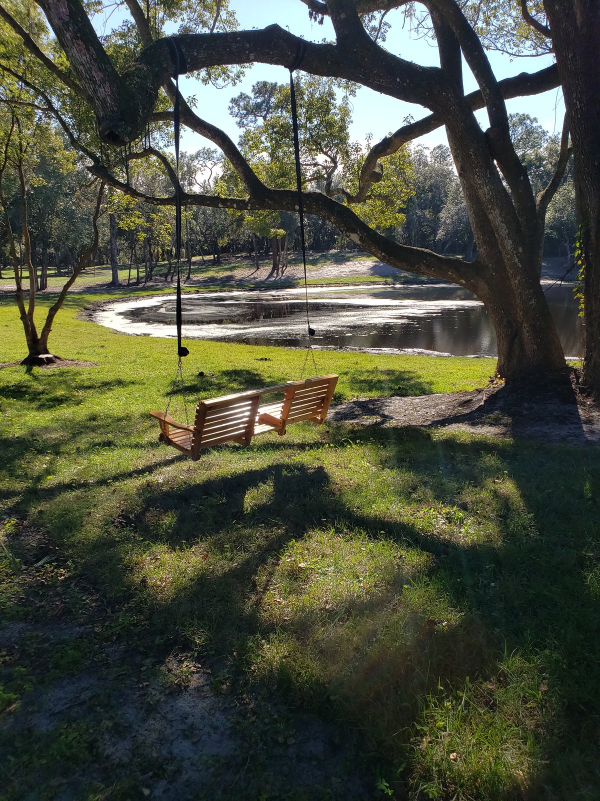 A wooden swing hanging from a live oak overlooking the property's pond